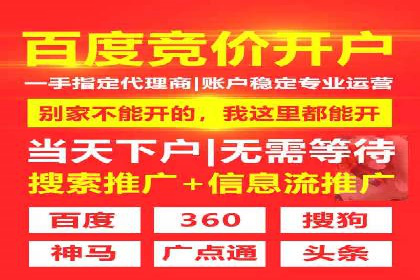 百度竞价开户的五大成功案例：如何进行精准投放？